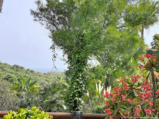 Appartement à Casares, Malaga - Costa del Sol, Espagne