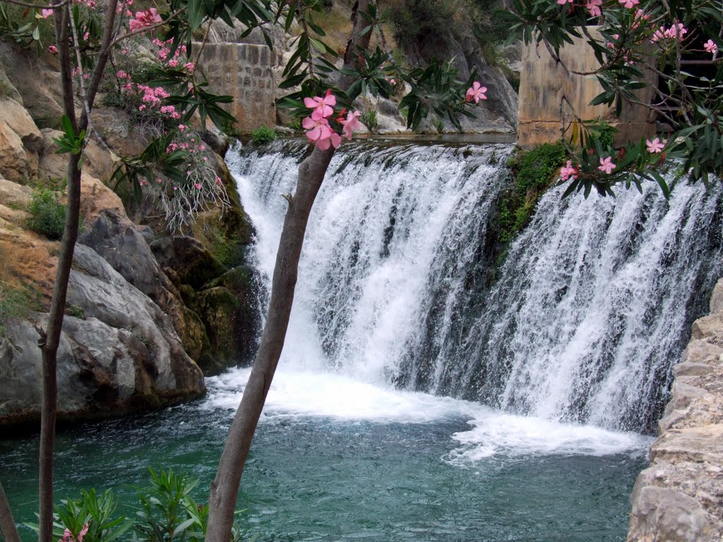 piscine naturelle fonts algar