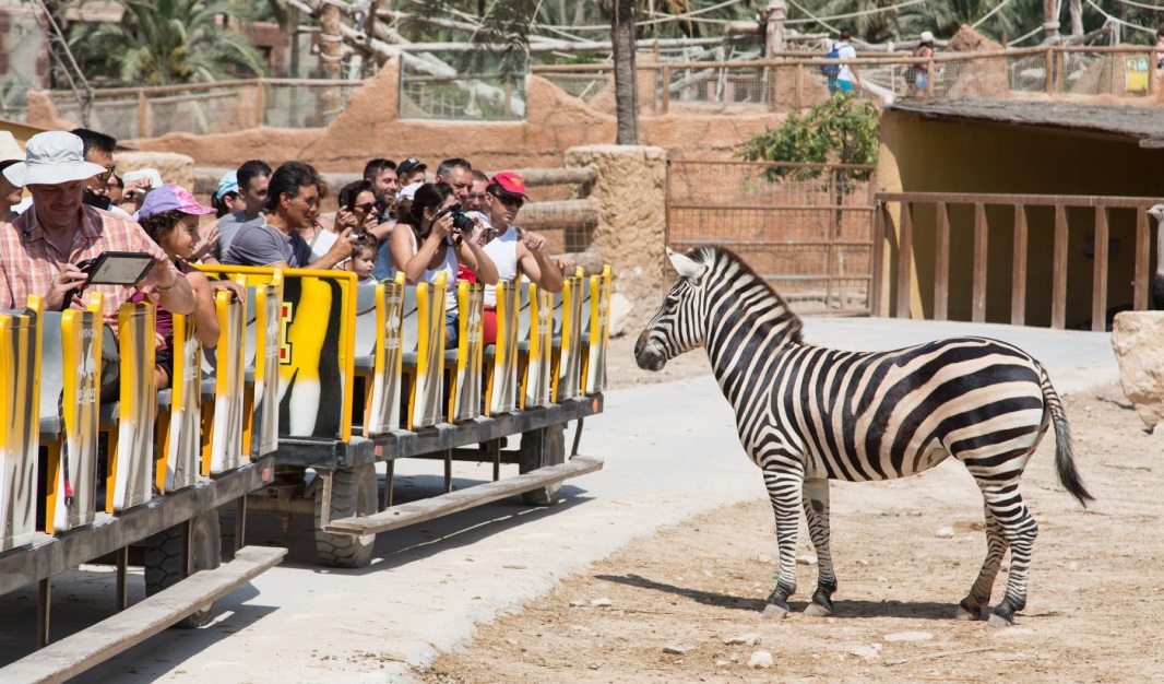 rio safari elche costa blanca