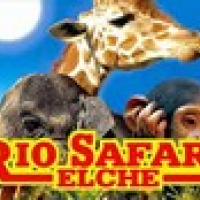 Rio Safari - ELCHE