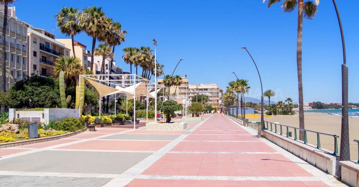 Que faire à Estepona ? 5 activités à ne pas manquer à Estepona sur la Costa del Sol. Découvrez l'Espagne avec Zapinvest !