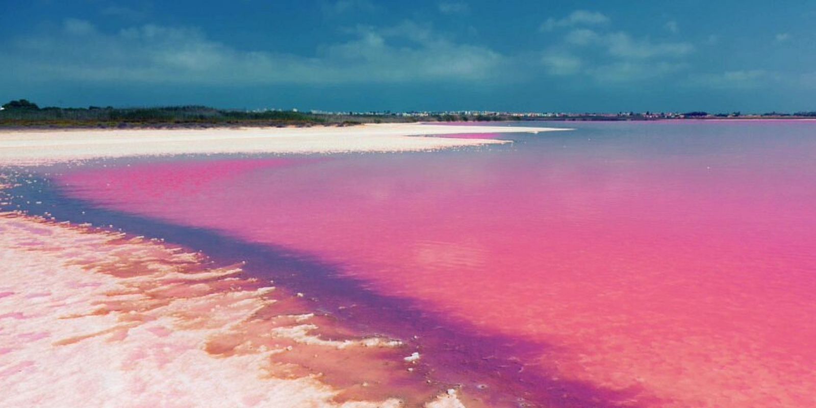 Les salines