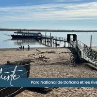 Découverte de l'Andalousie direction Sanlúcar de Barrameda : un week-end entre océan, nature sauvage et découverte du parc de Doñana, joyau d’Andalousie.